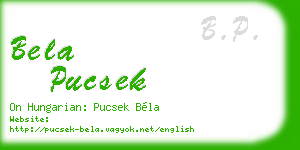 bela pucsek business card