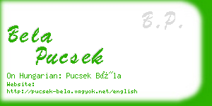 bela pucsek business card